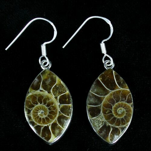 Fossil Ammonite Earrings - Sterling Silver #21068